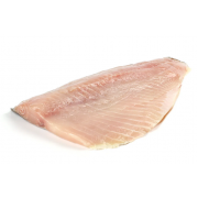 Філе Сазана